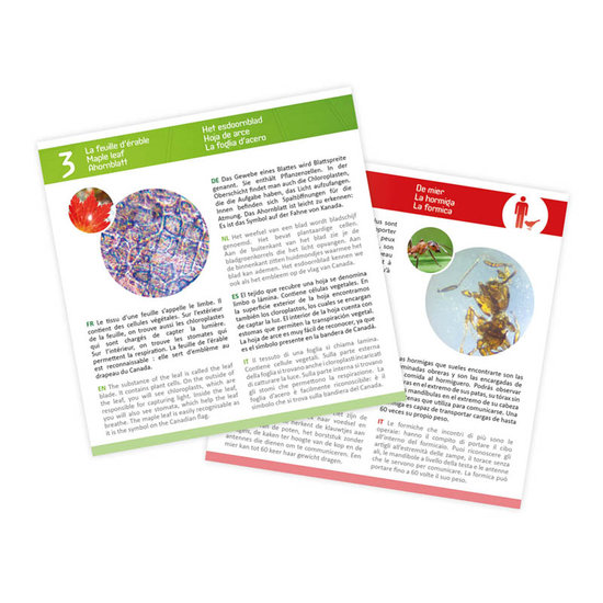 Objectglaasjes voor microscoop - Buki