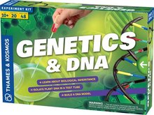 Genetica &amp; DNA